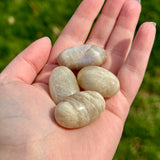 Small Moonstone Tumble