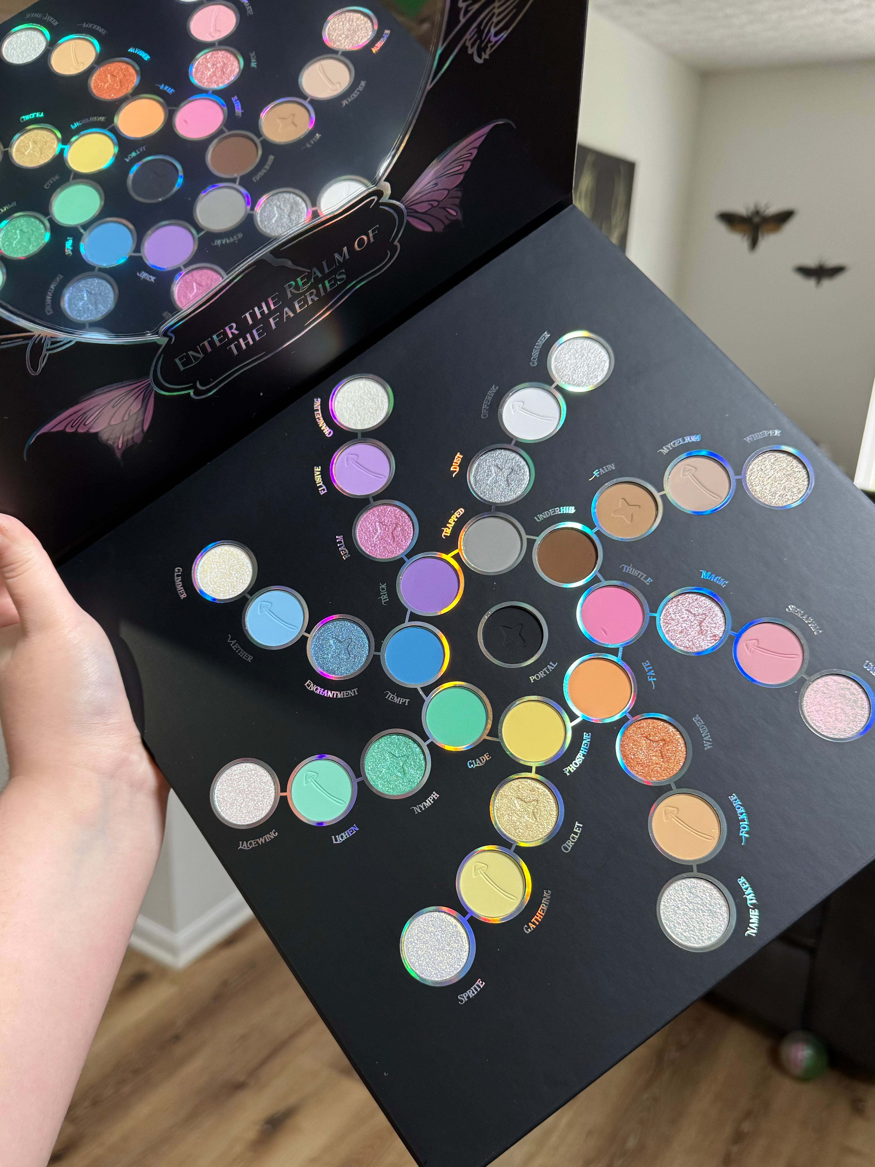 Faerie Ring Launch Reminder (click to be able to sign up for emails)