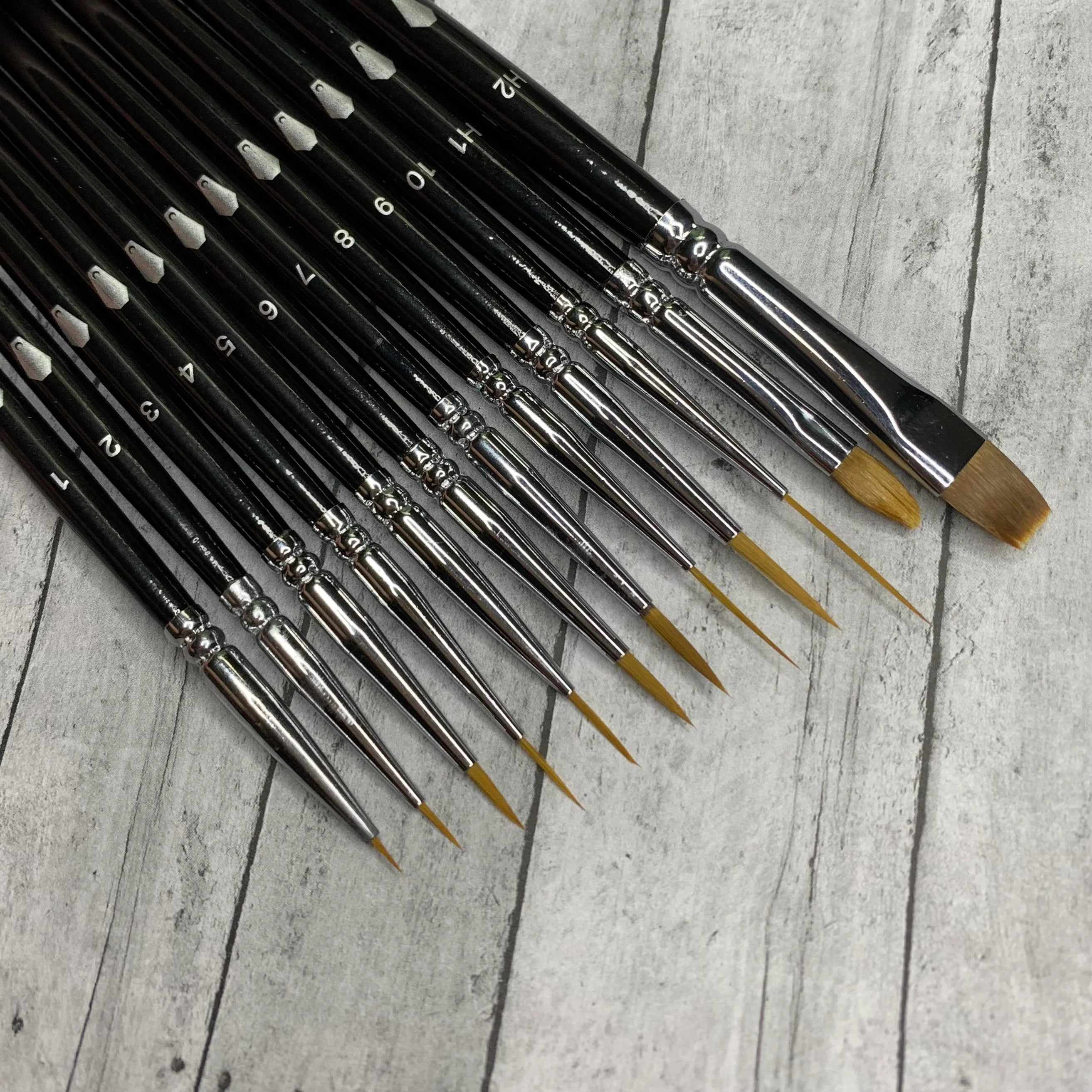 12pc Eyeliner Brush Set (shorter handle)