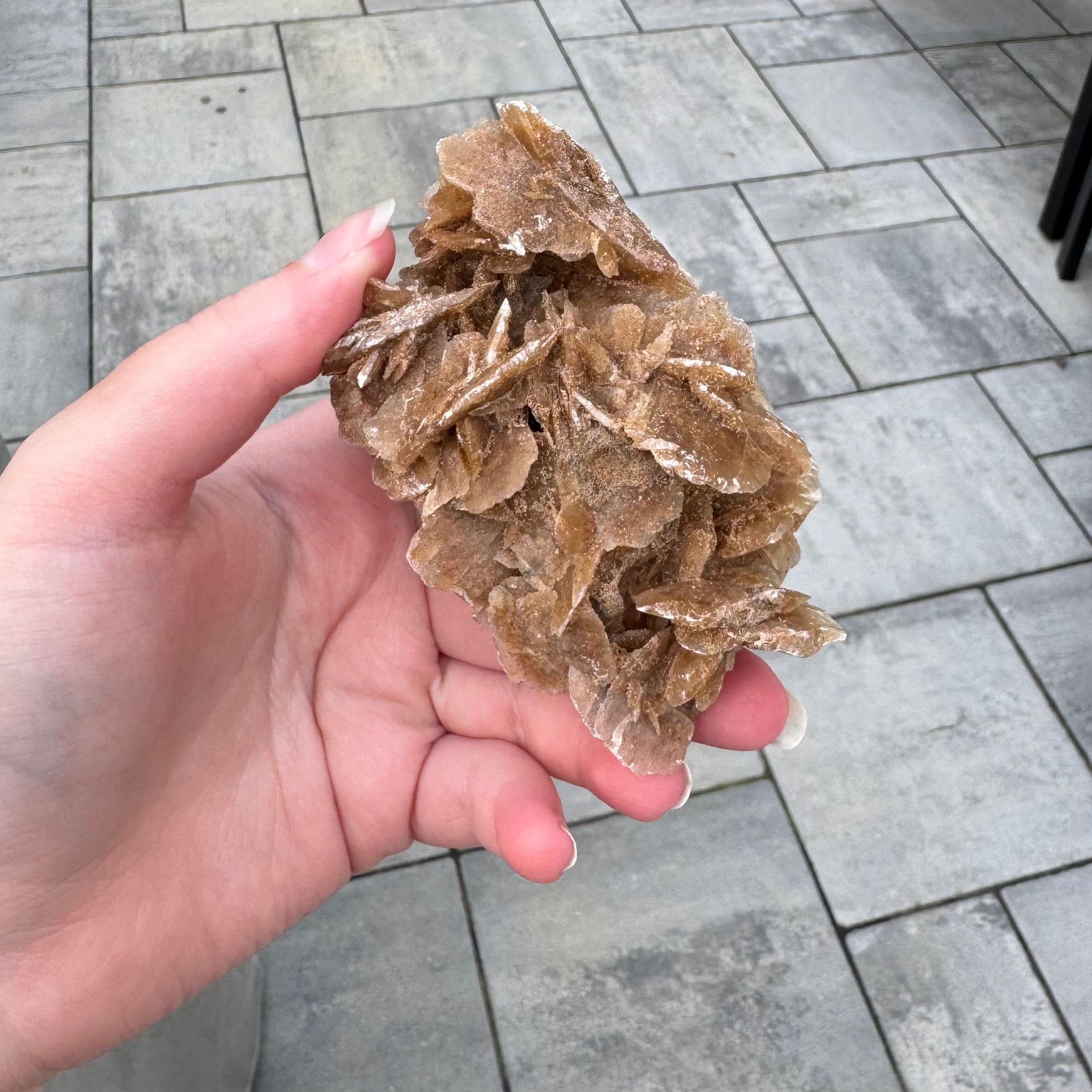 Desert Rose Piece